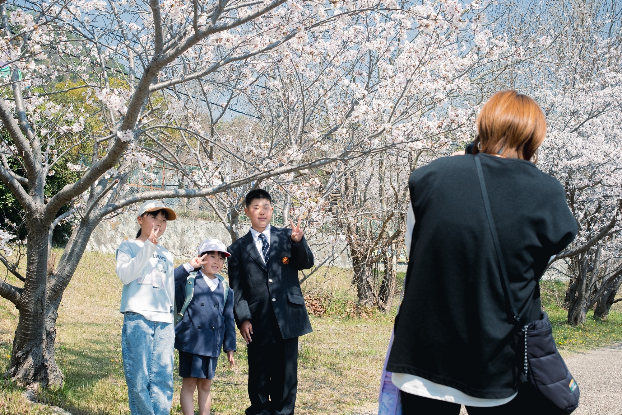 桜の前で記念撮影をするNさん一家