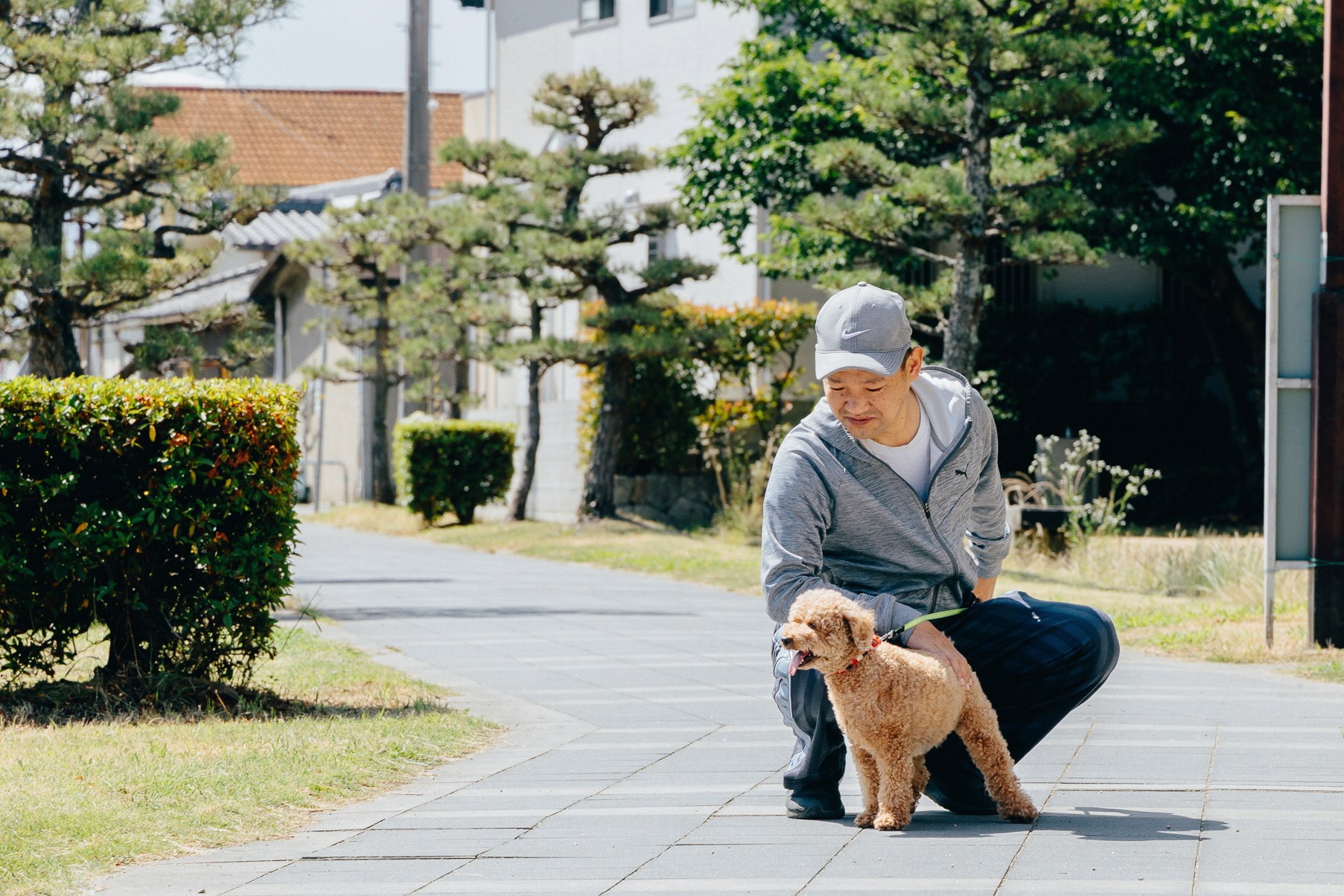 犬の散歩をしている男性