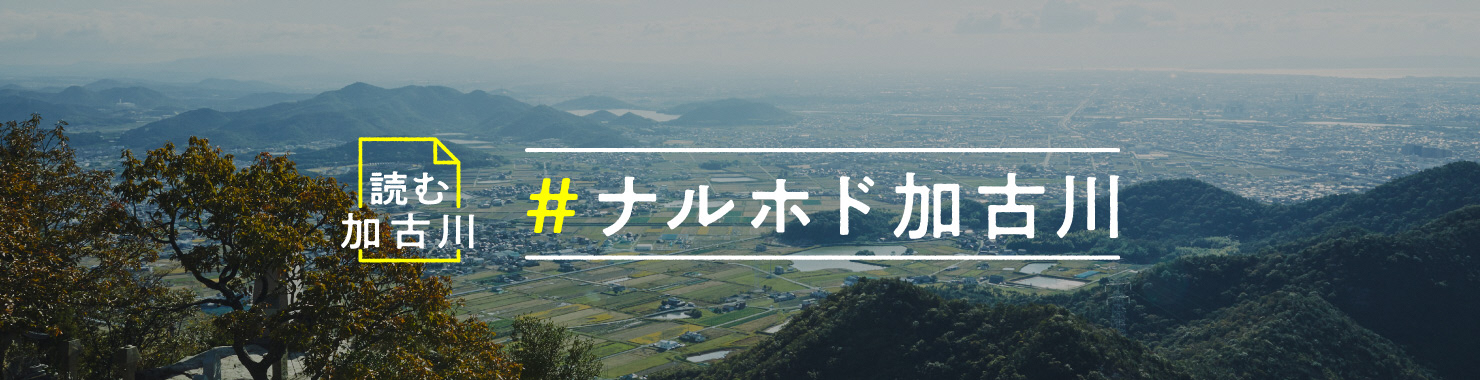 ナルホド_タイトル