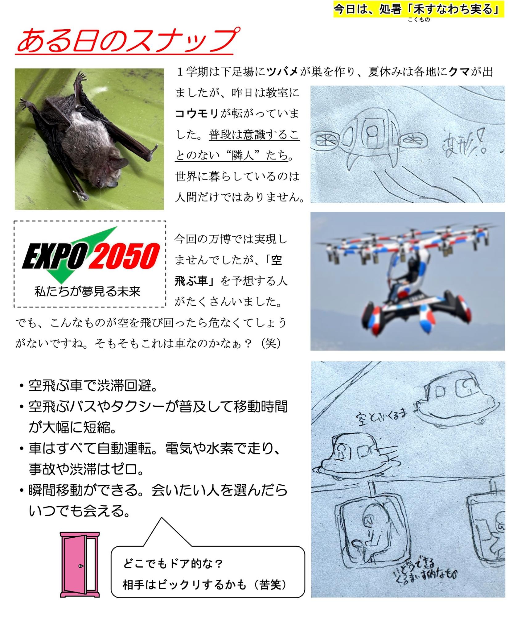 第78号