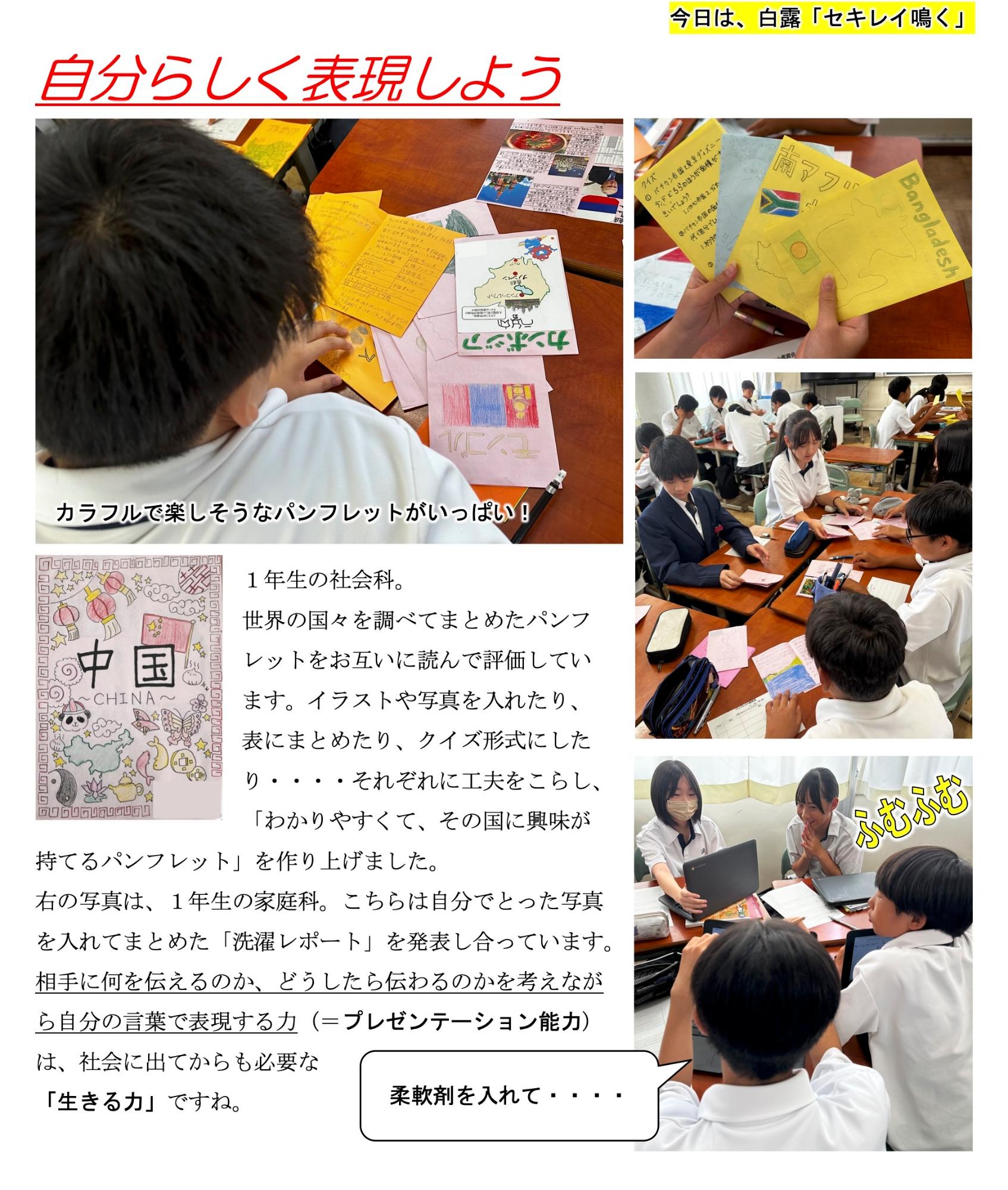 第84号