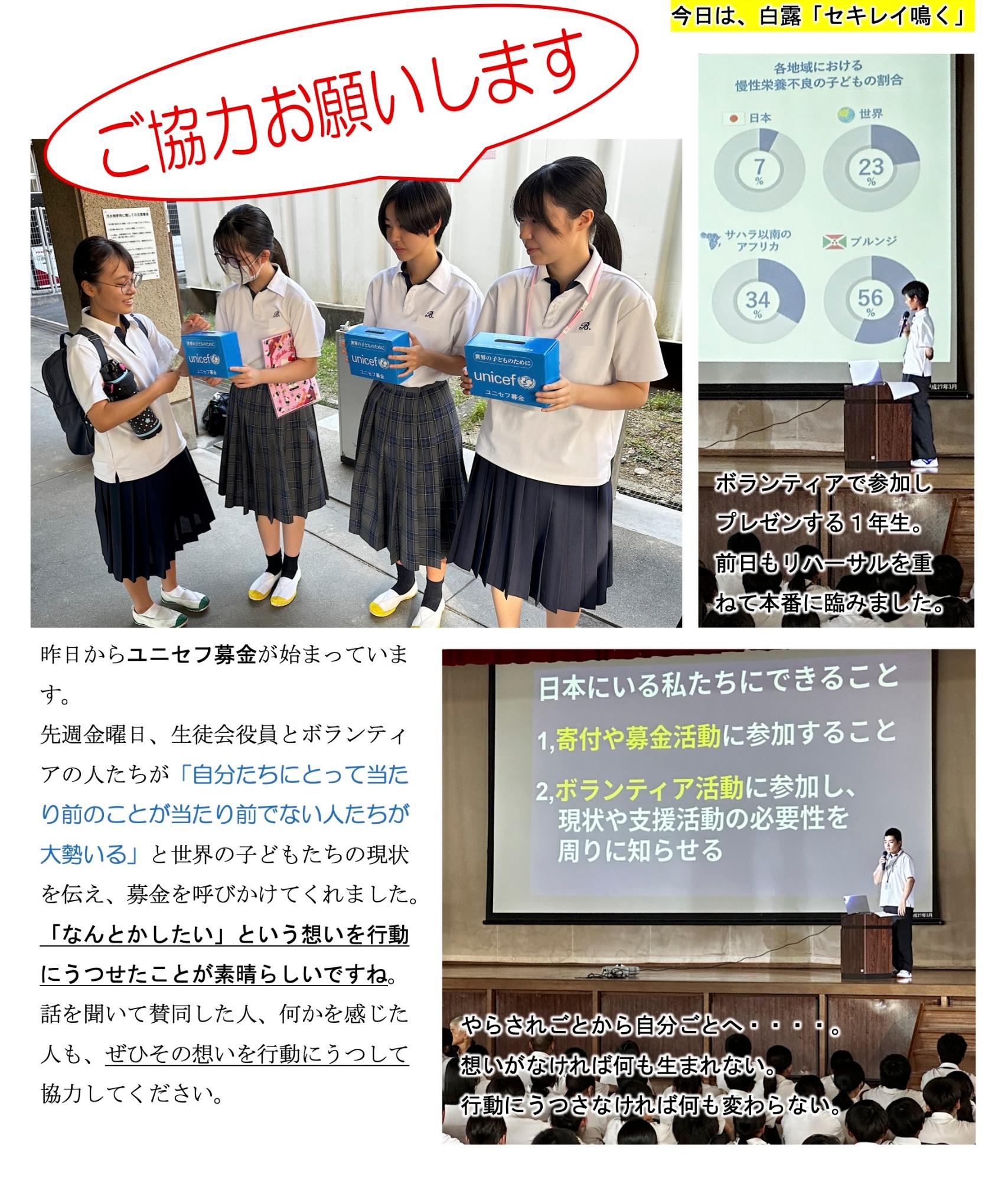 第85号