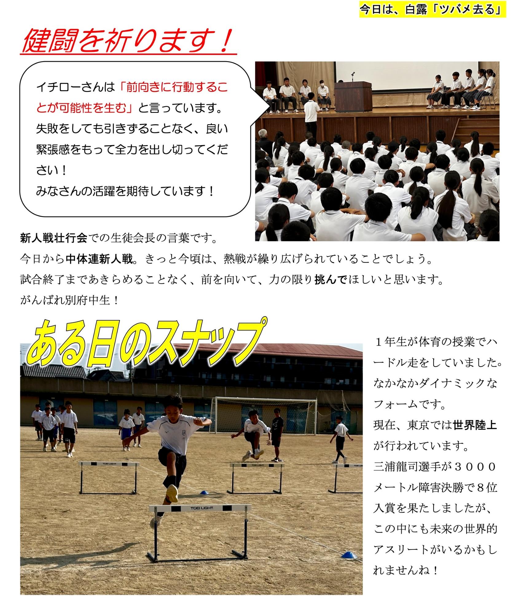 第87号