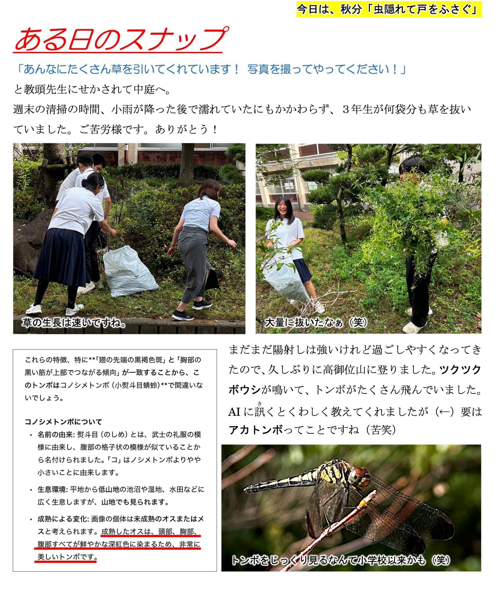 第93号