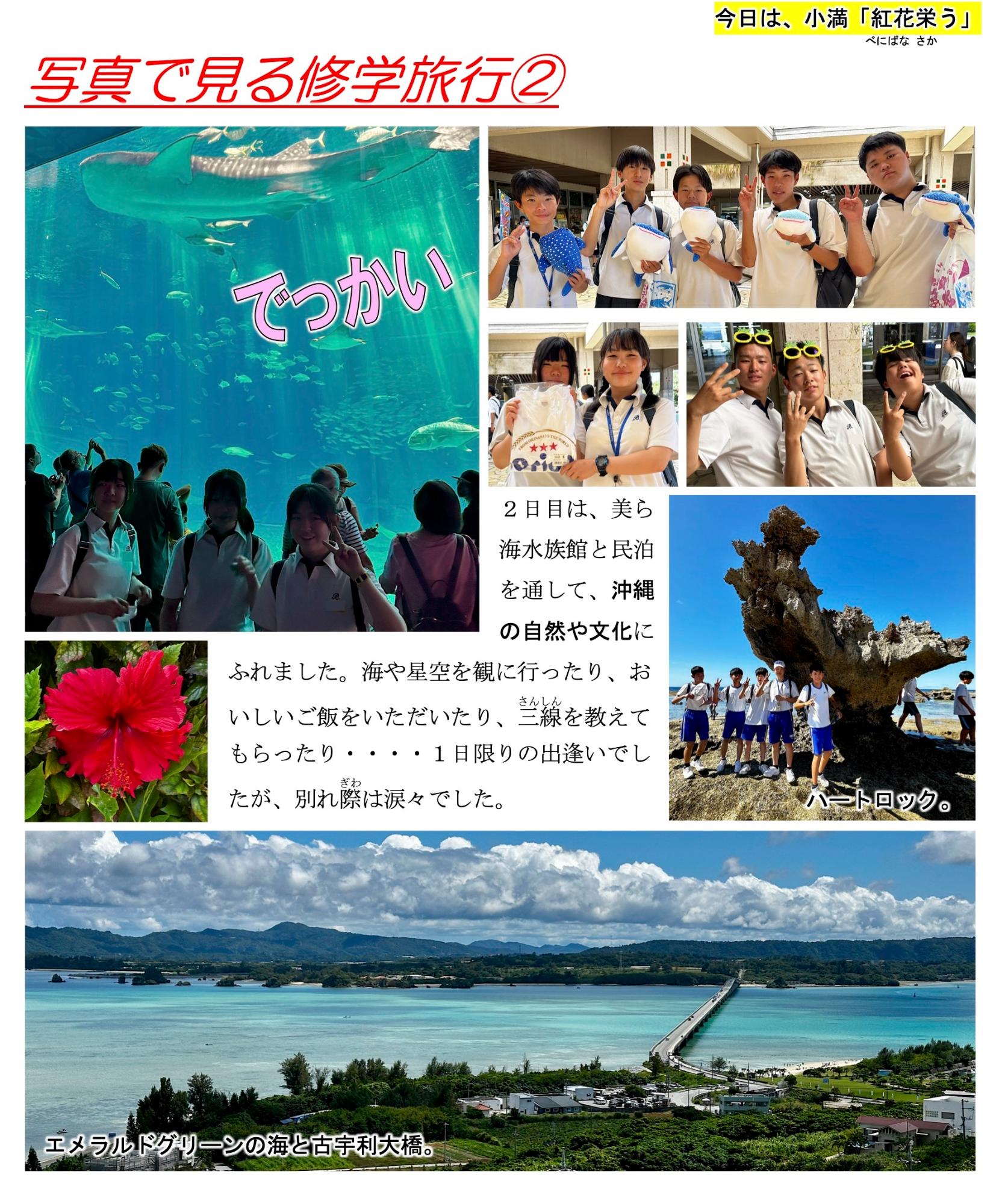第29号