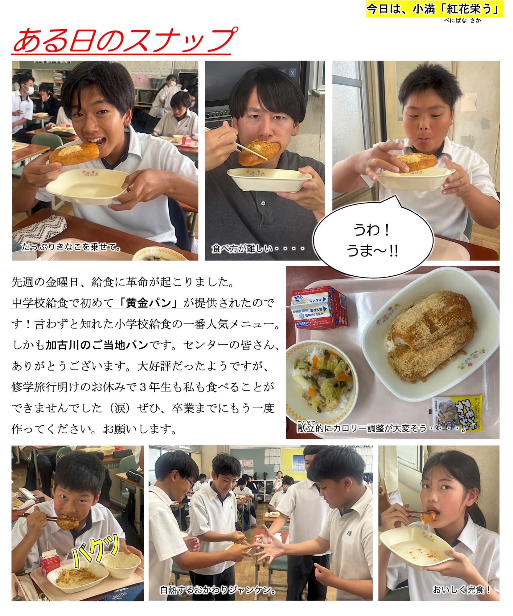 第31号