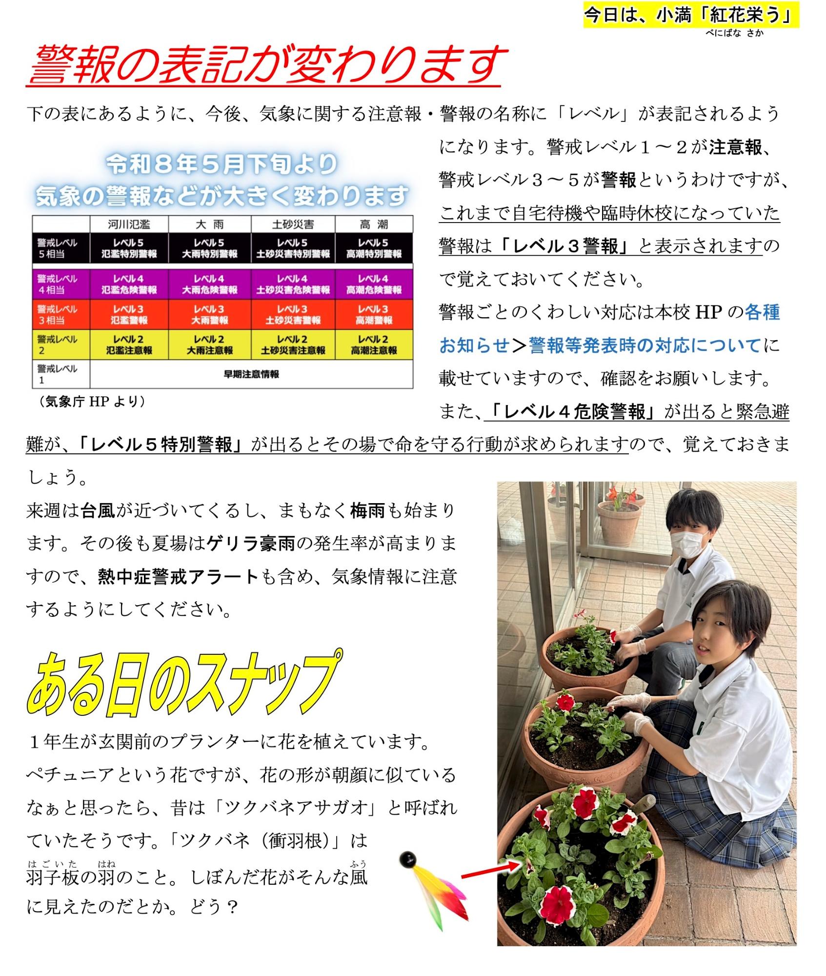 第32号