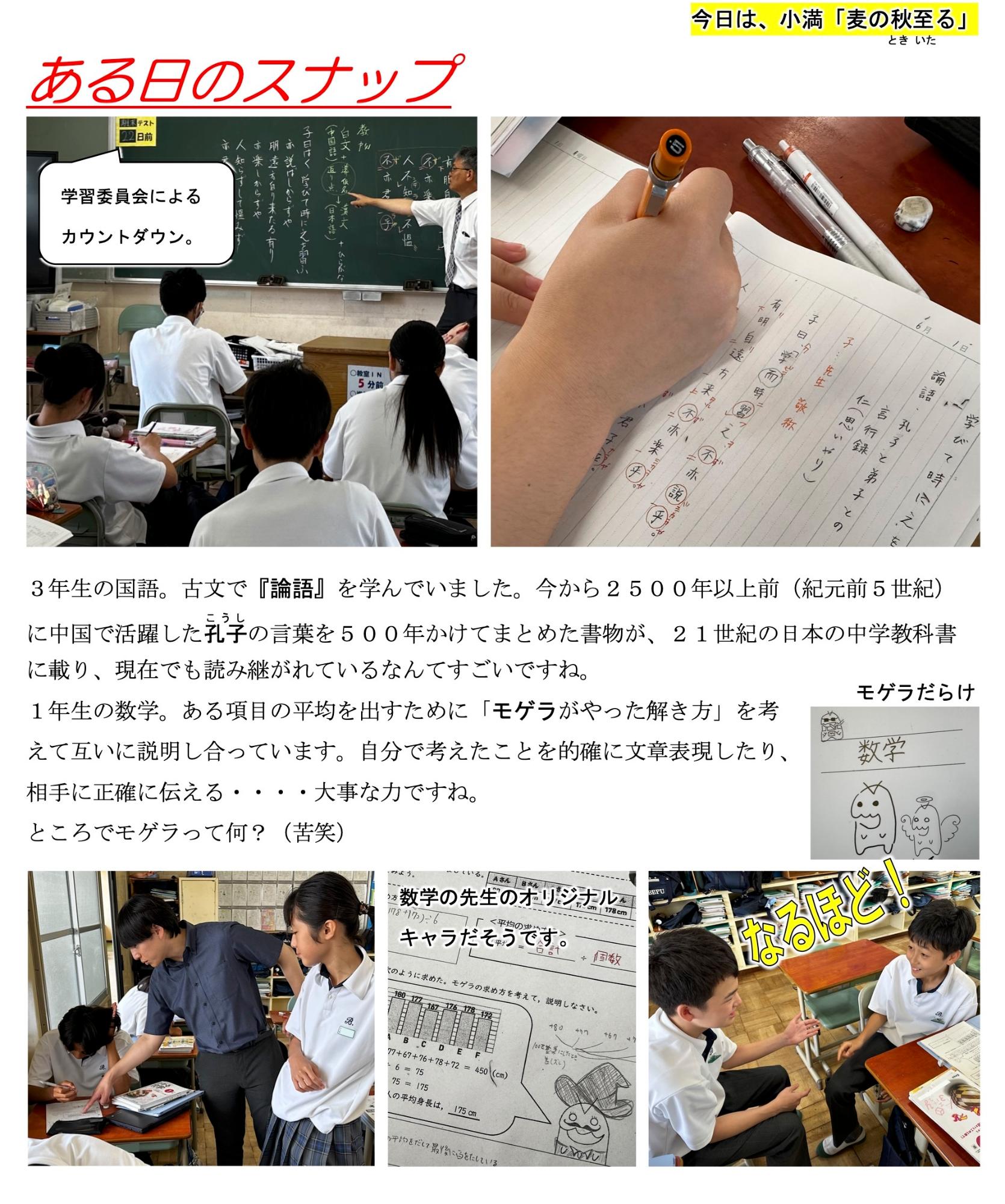 第36号