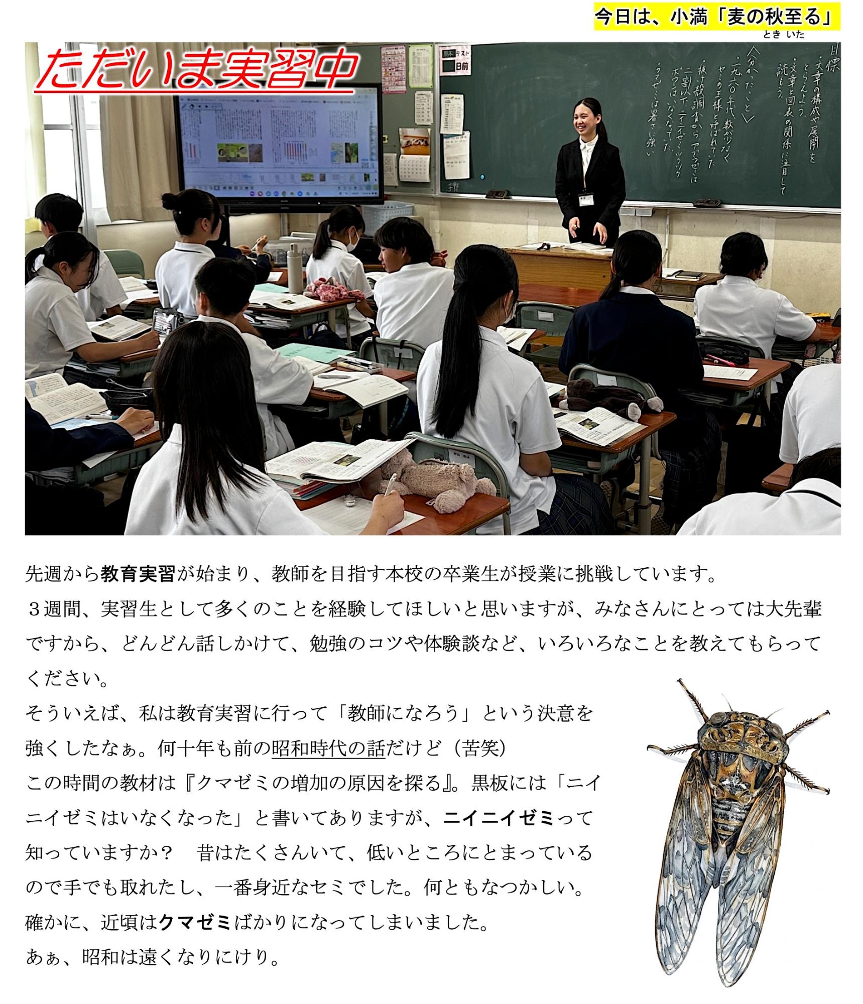 第37号