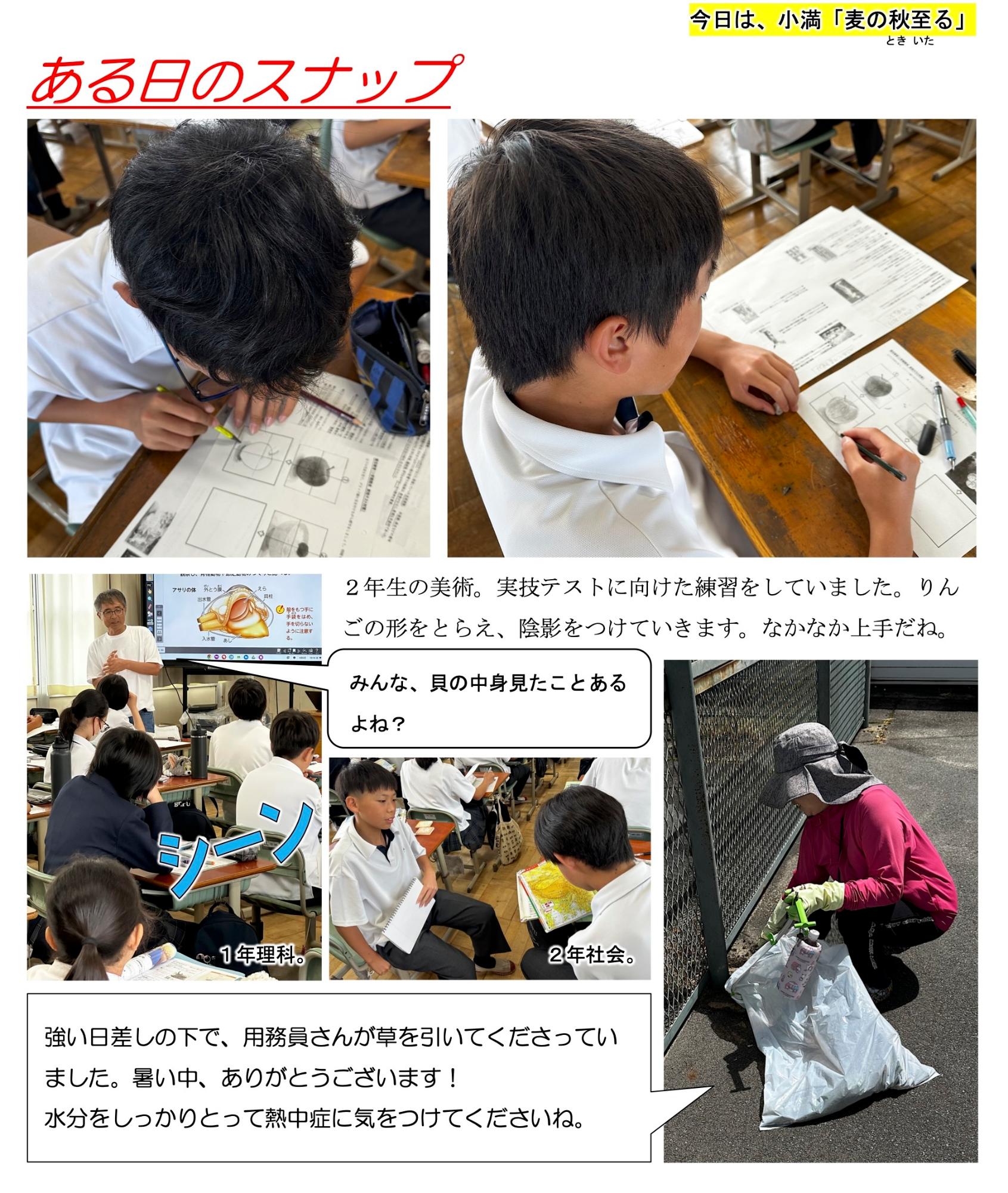 第38号