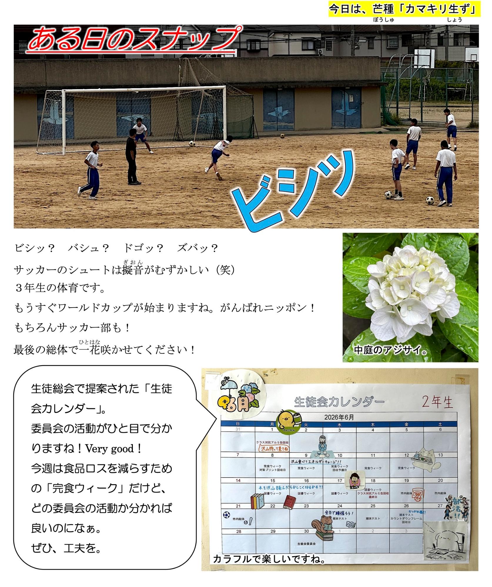 第41号
