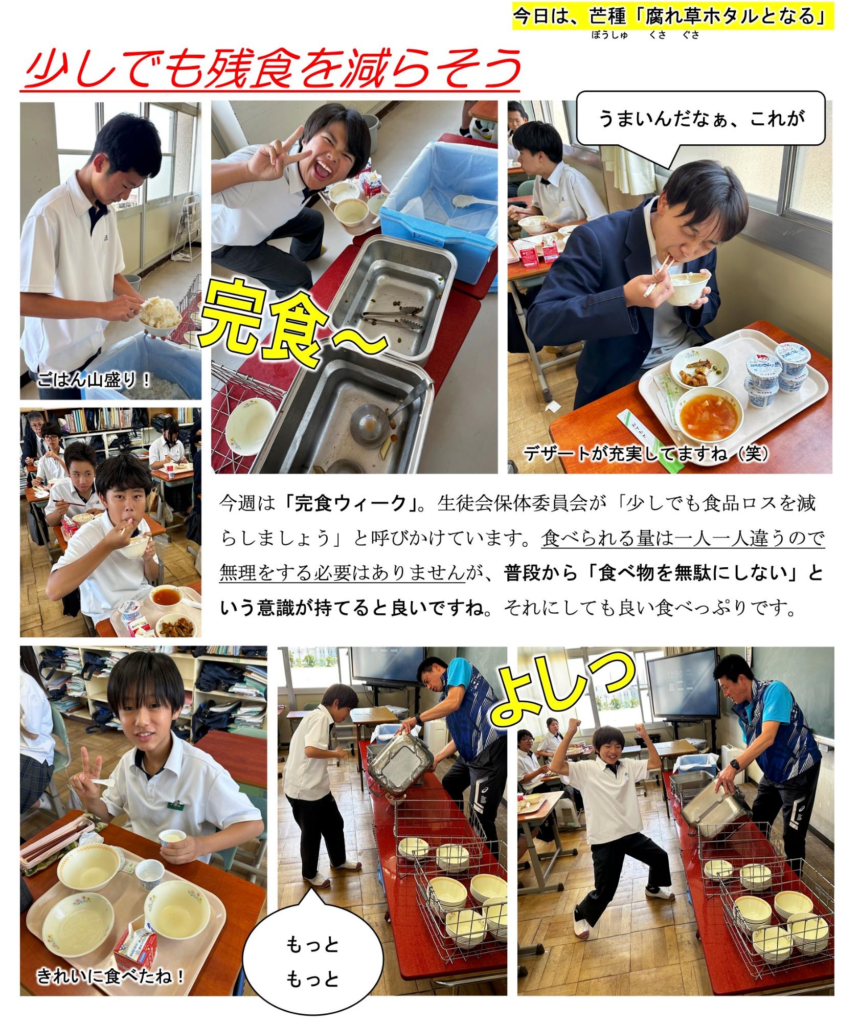 第42号