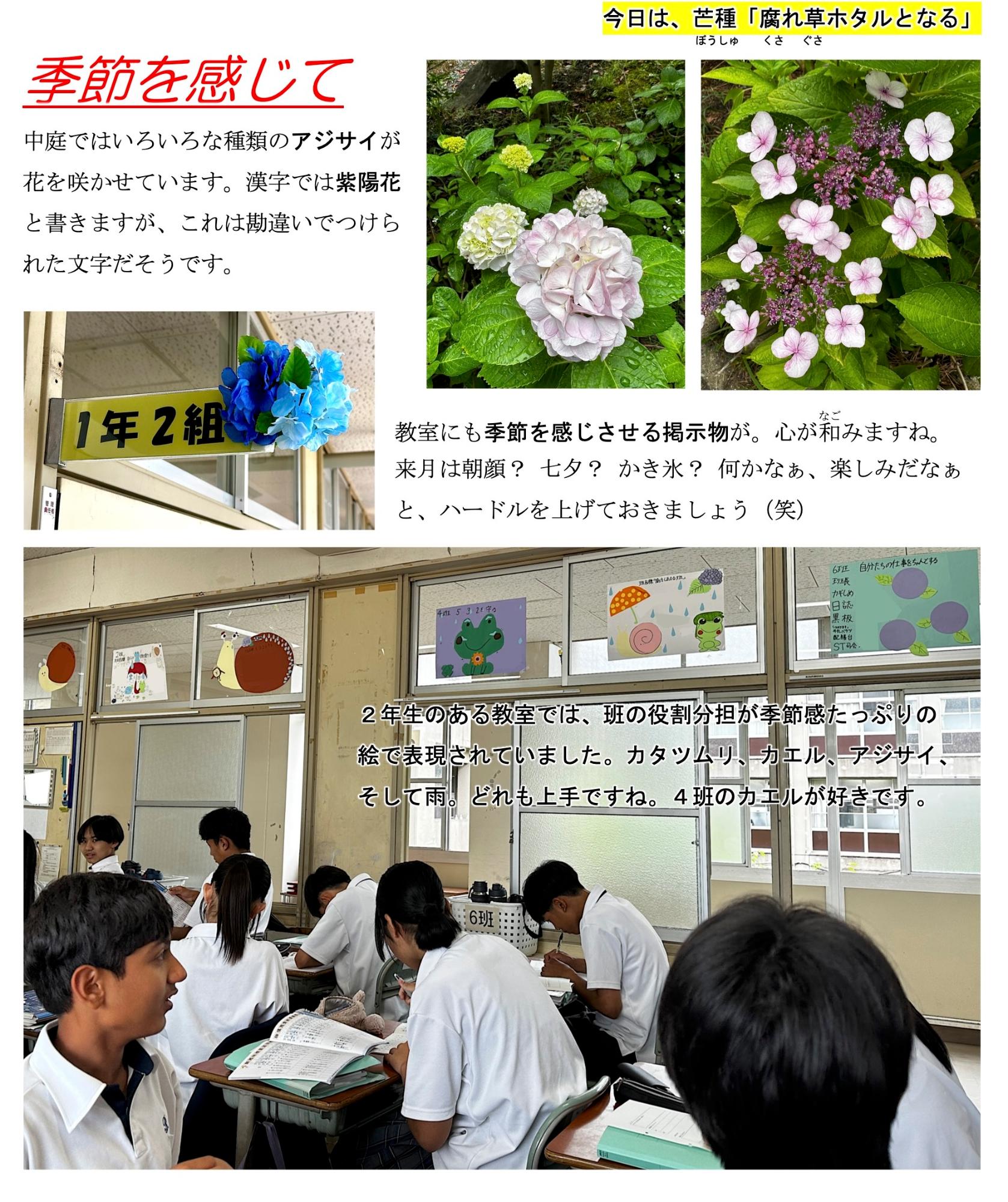 第44号
