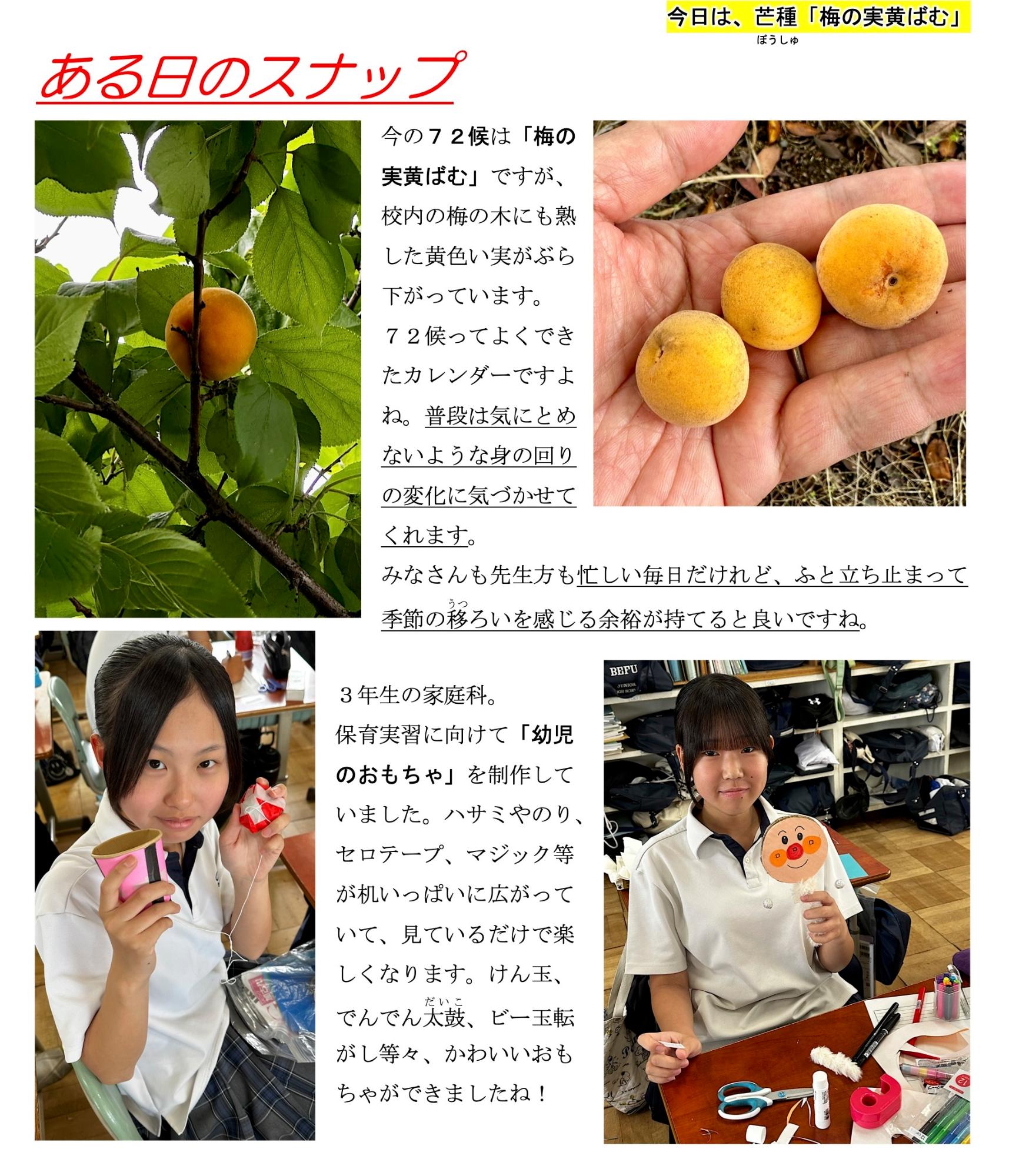 第46号
