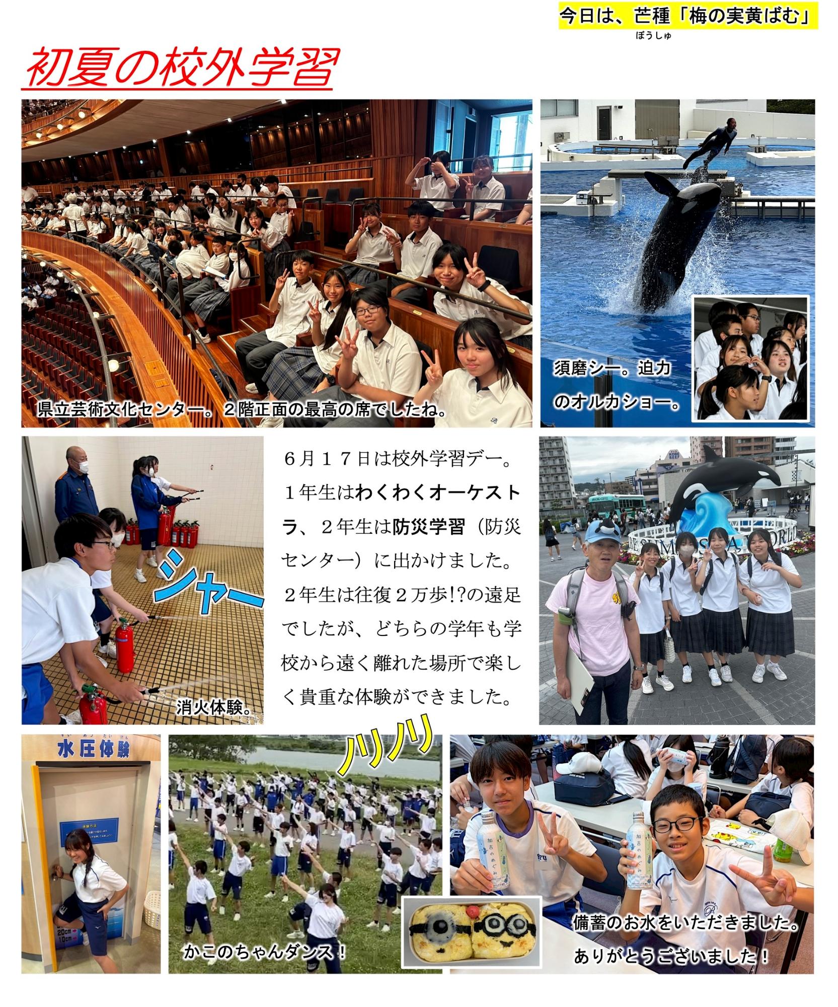 第48号