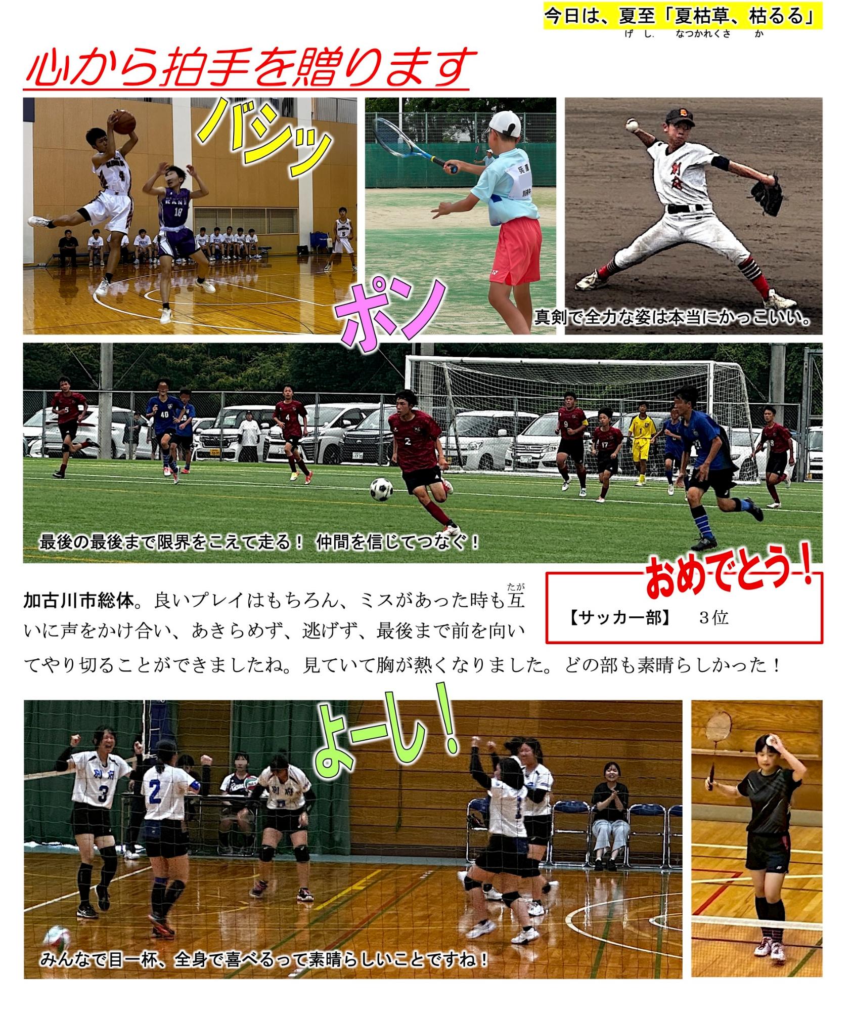 第49号