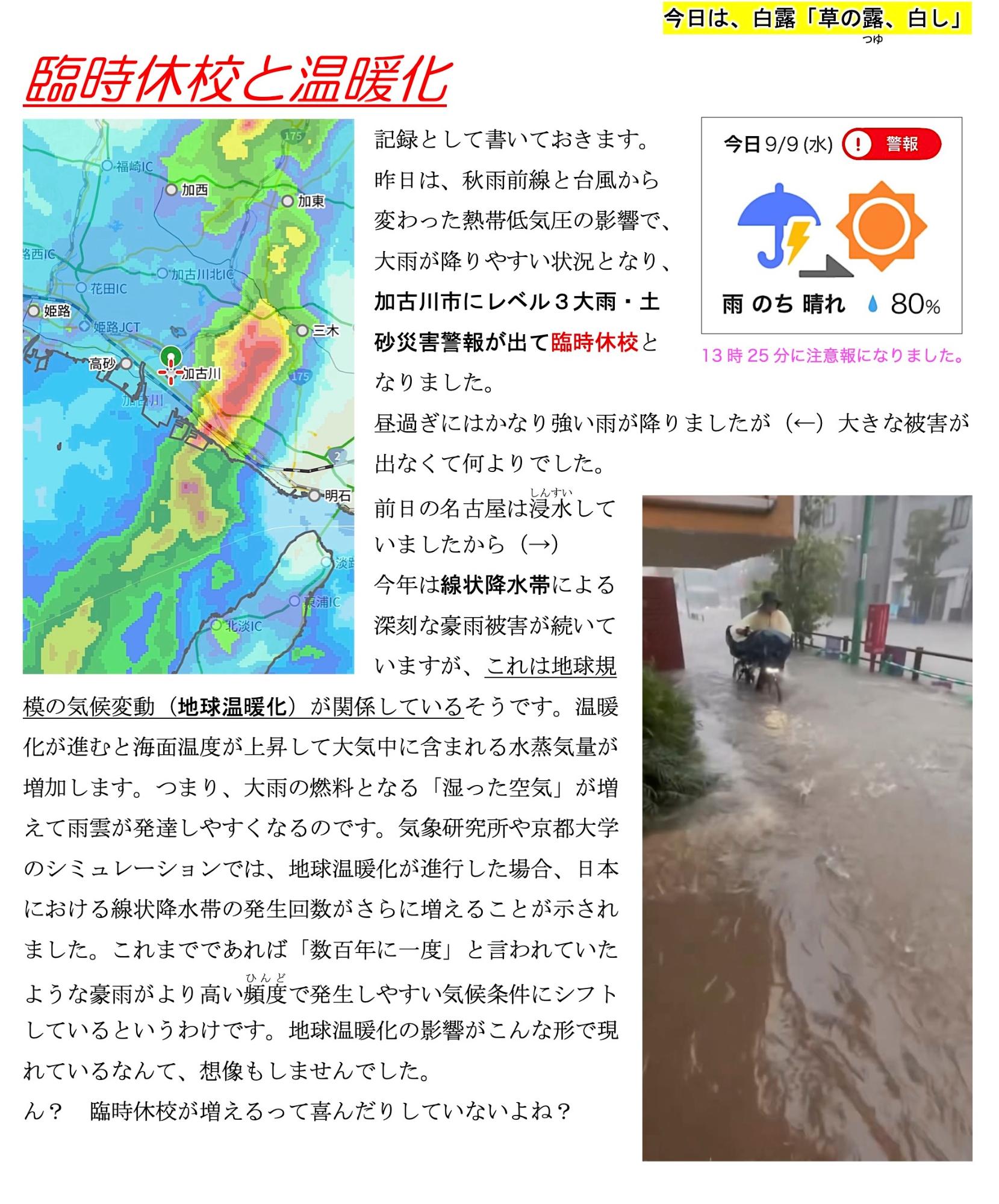 第77号