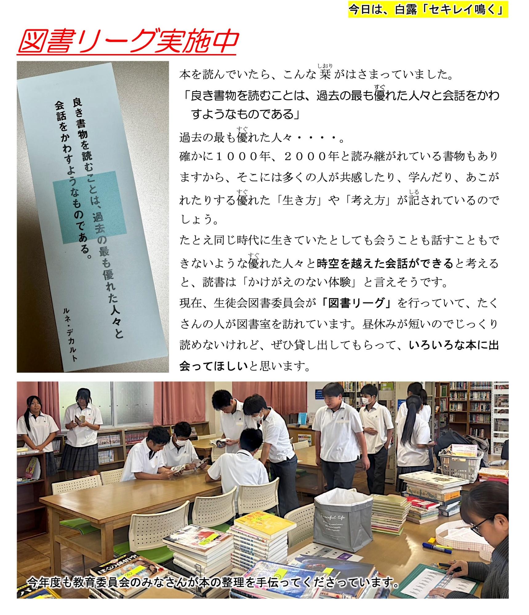 第81号