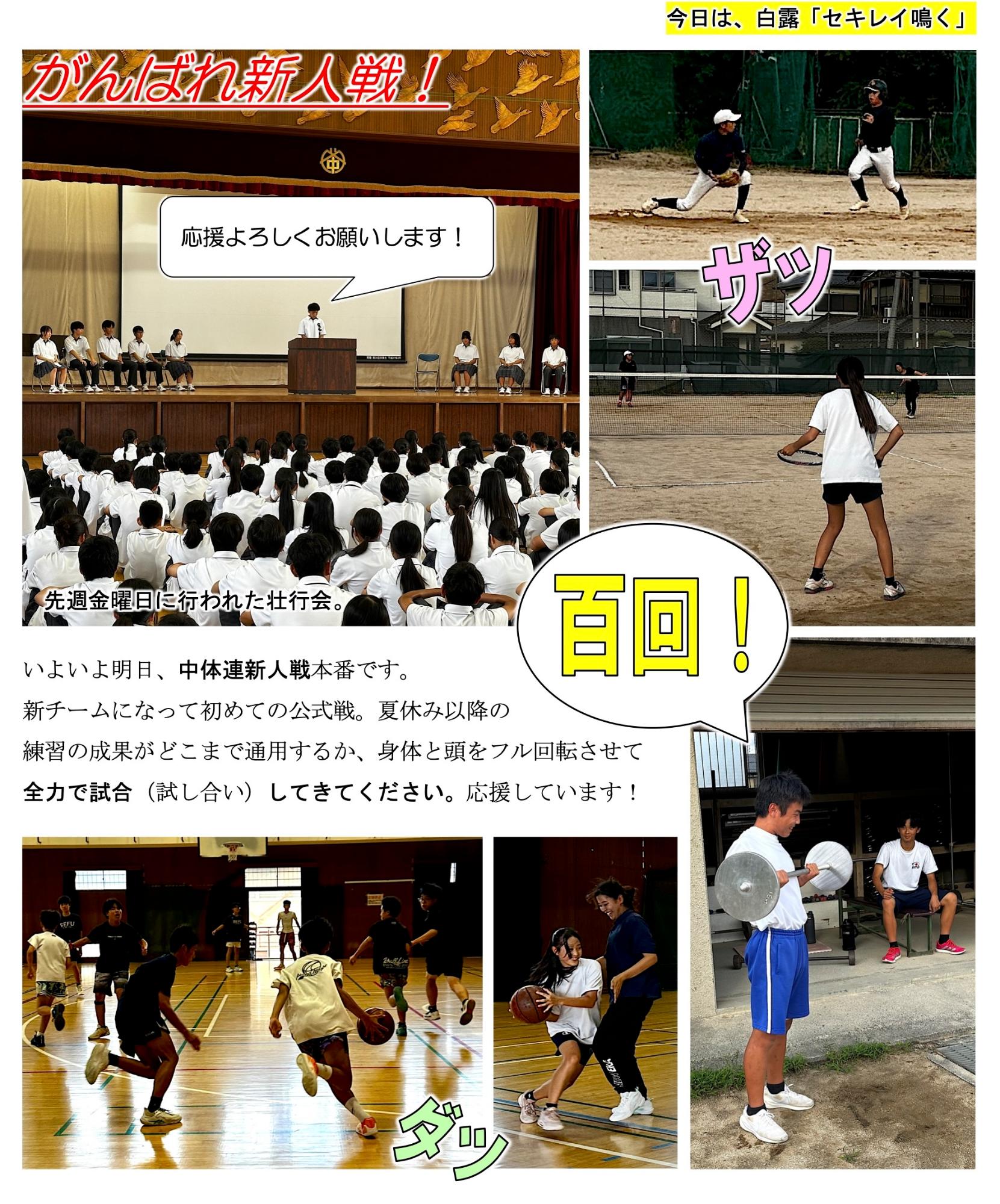 第82号
