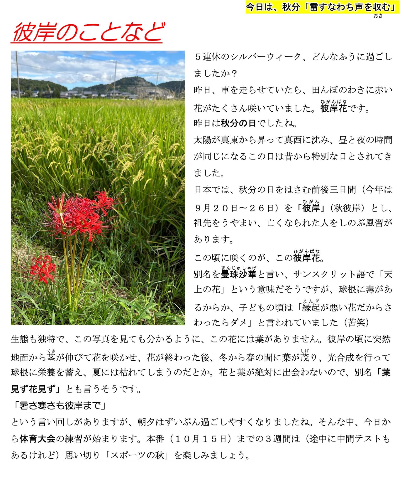 第84号