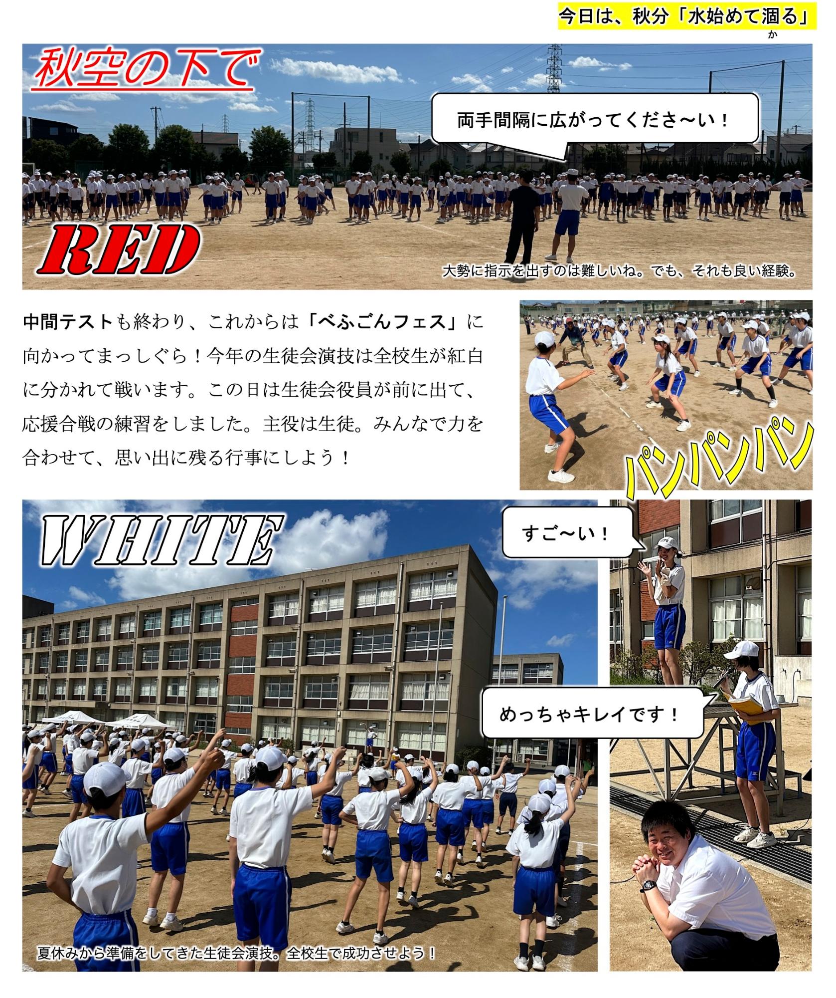 第91号