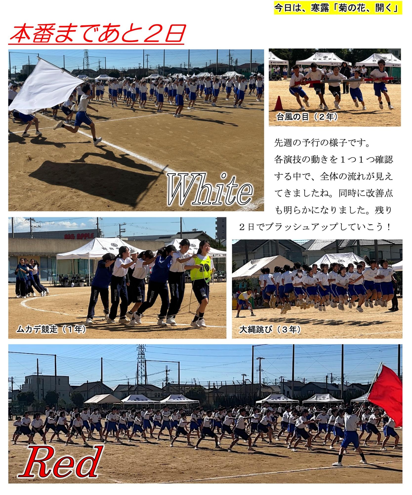 第96号