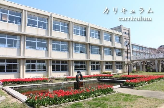 カリキュラムcarriculum