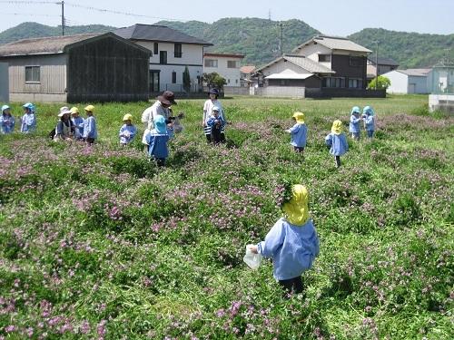 renge22