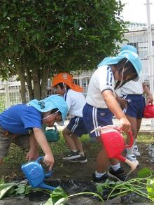 satumaimoue555