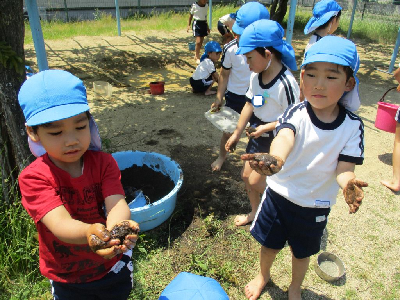 泥だんご作りを楽しむ5歳児