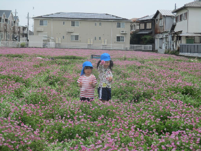 レンゲで花束を作った5歳児
