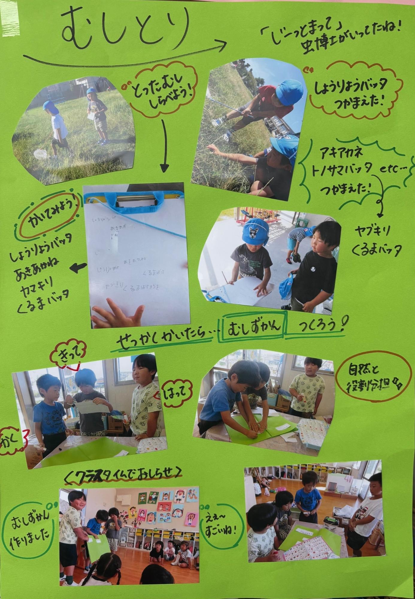 ドキュメンテーション