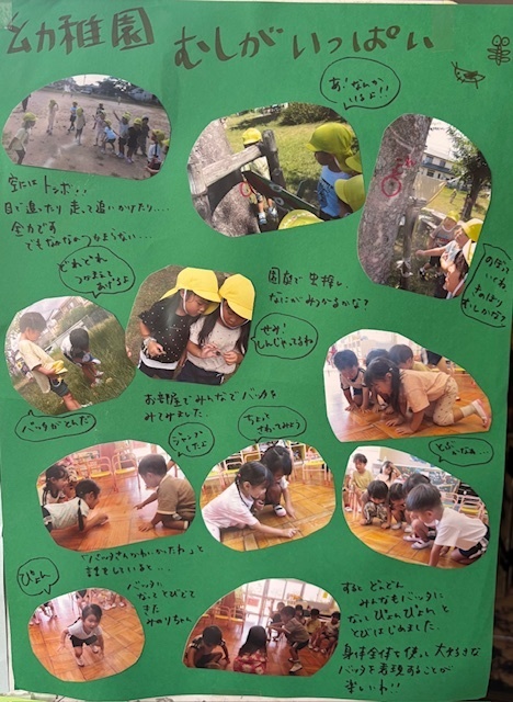 ドキュメンテーション