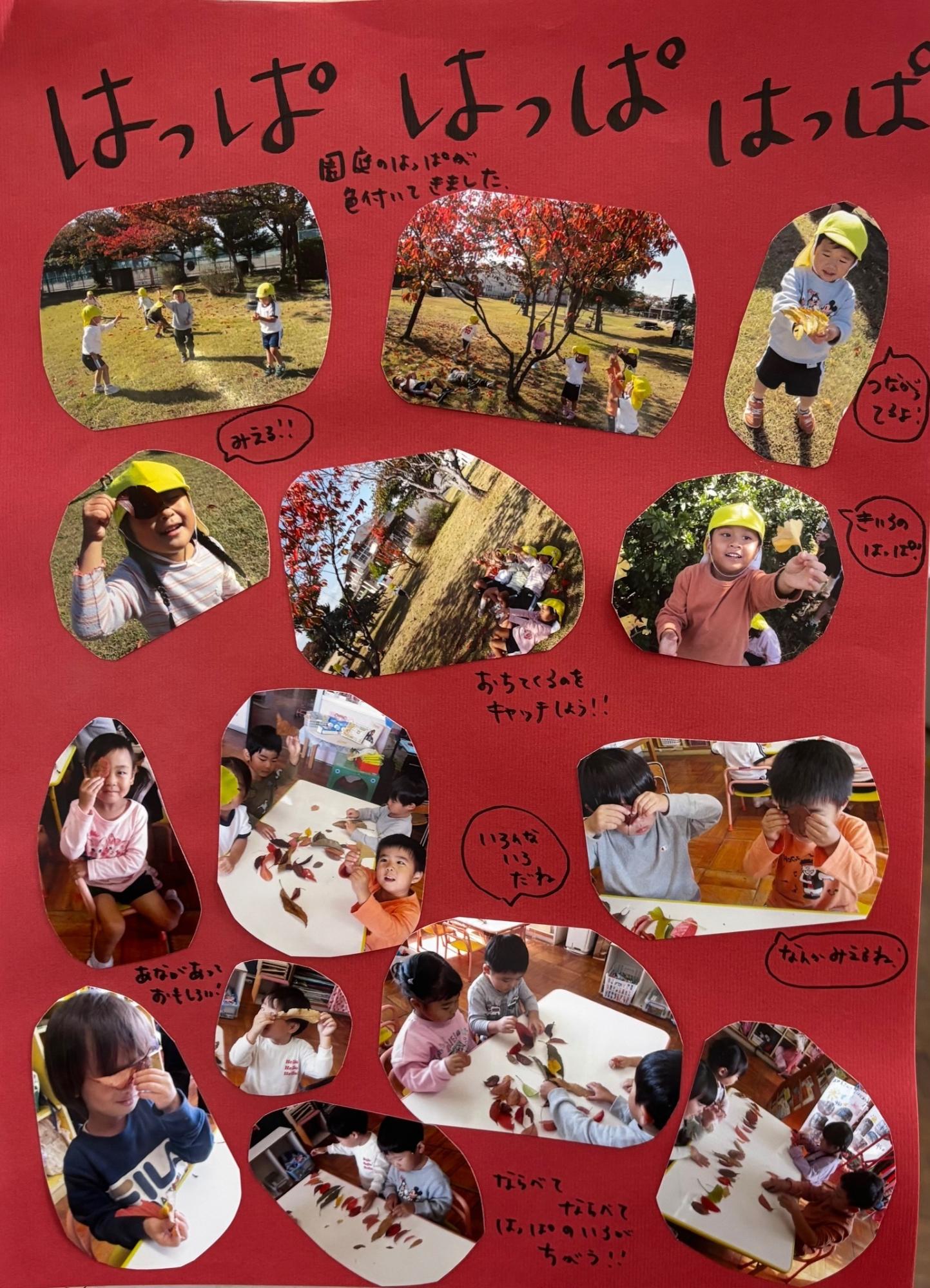 ドキュメンテーション