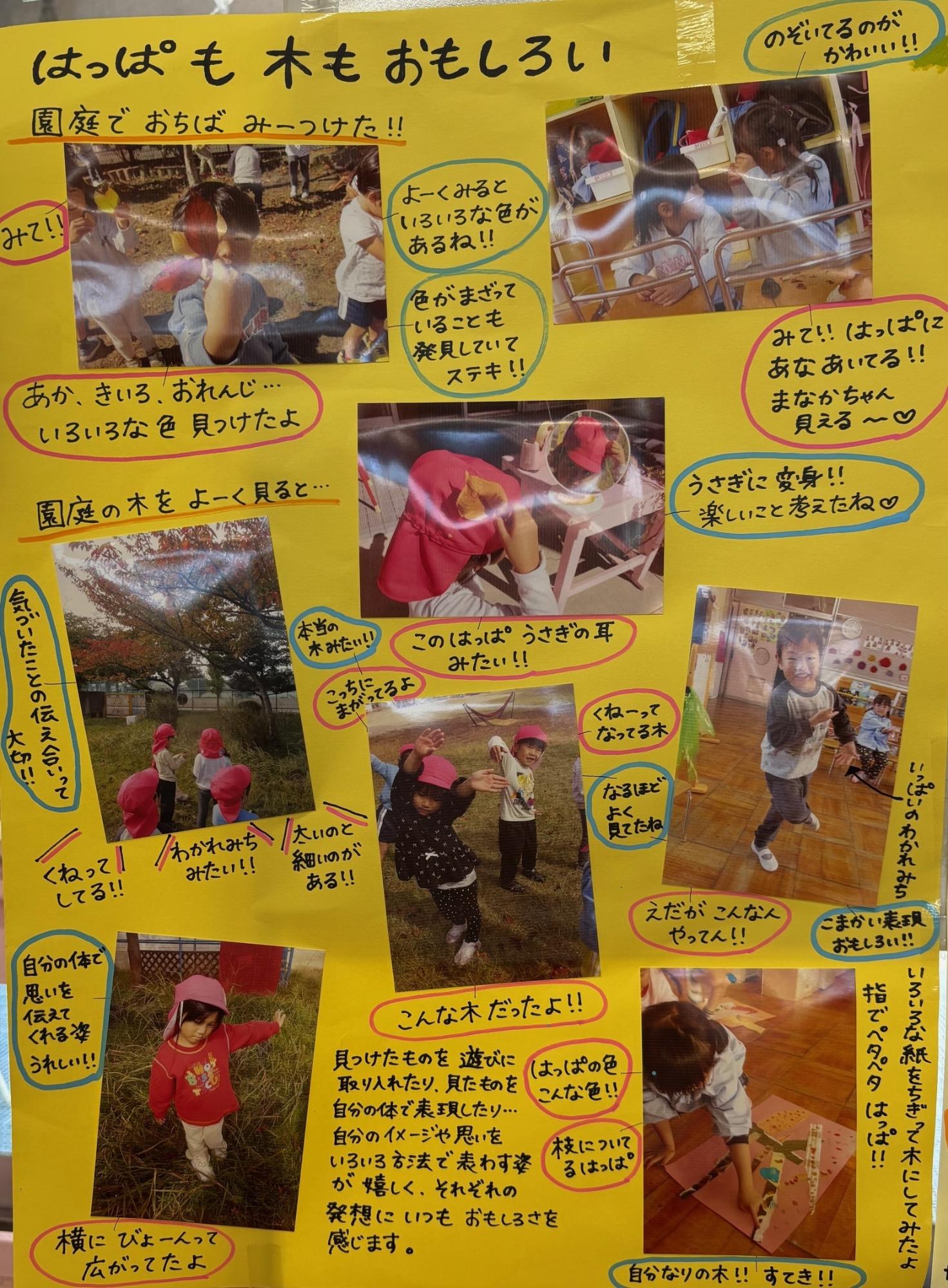 ドキュメンテーション