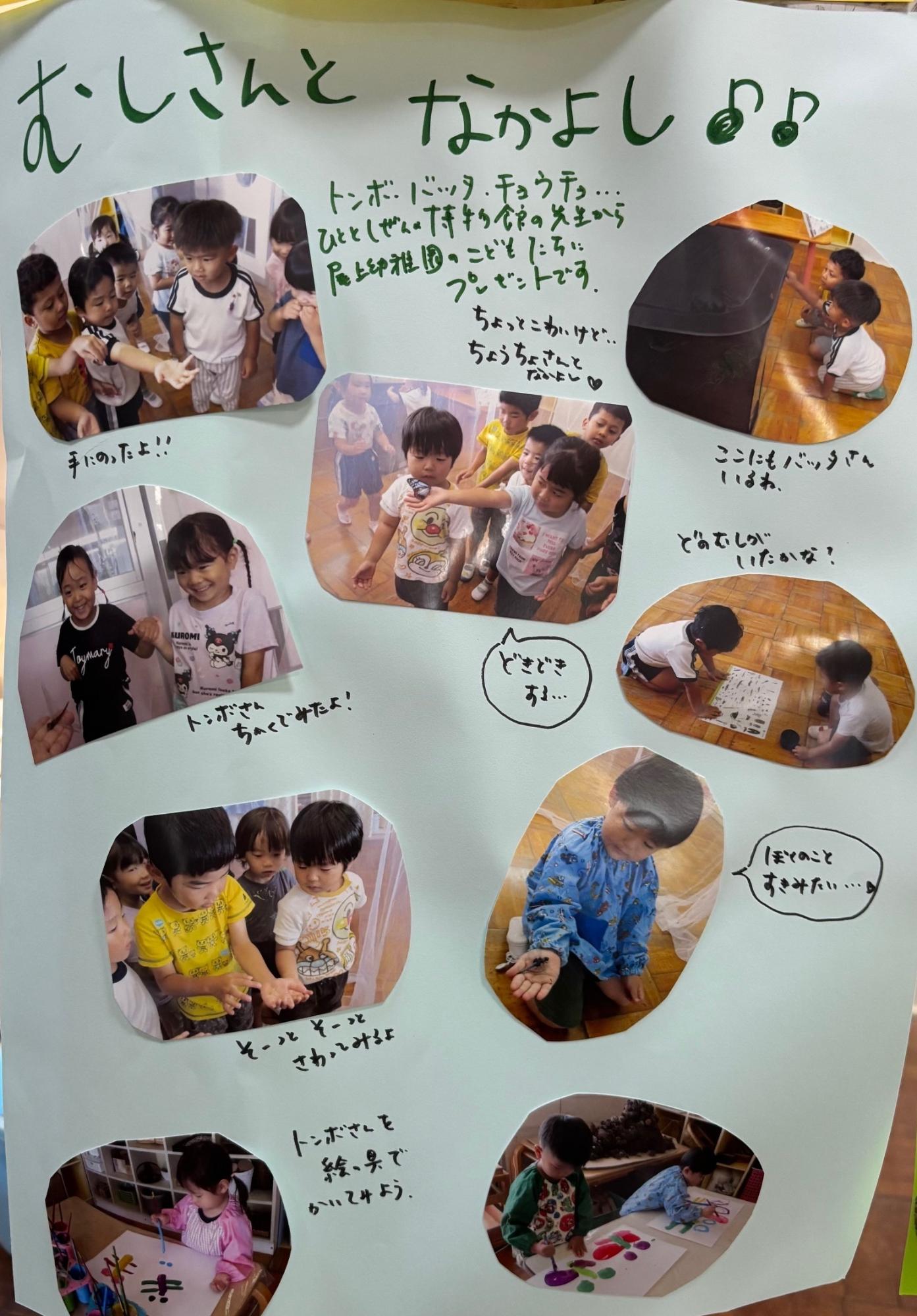 ドキュメンテーション