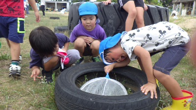 園庭で虫取りをする園児