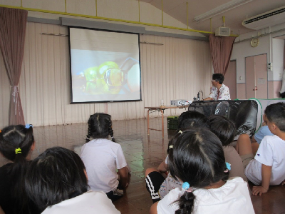 プロジェクターで虫を見る園児