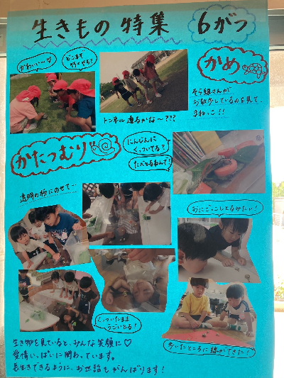 生き物のドキュメンテーション