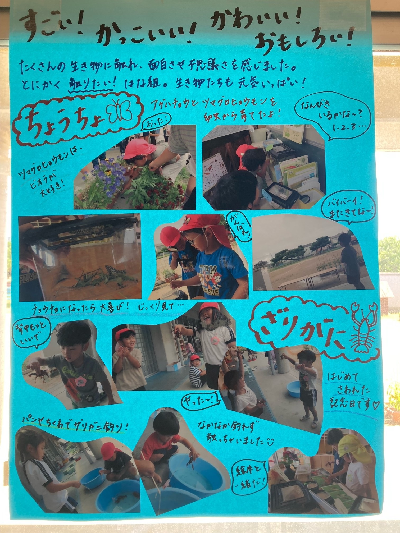 生き物のドキュメンテーション