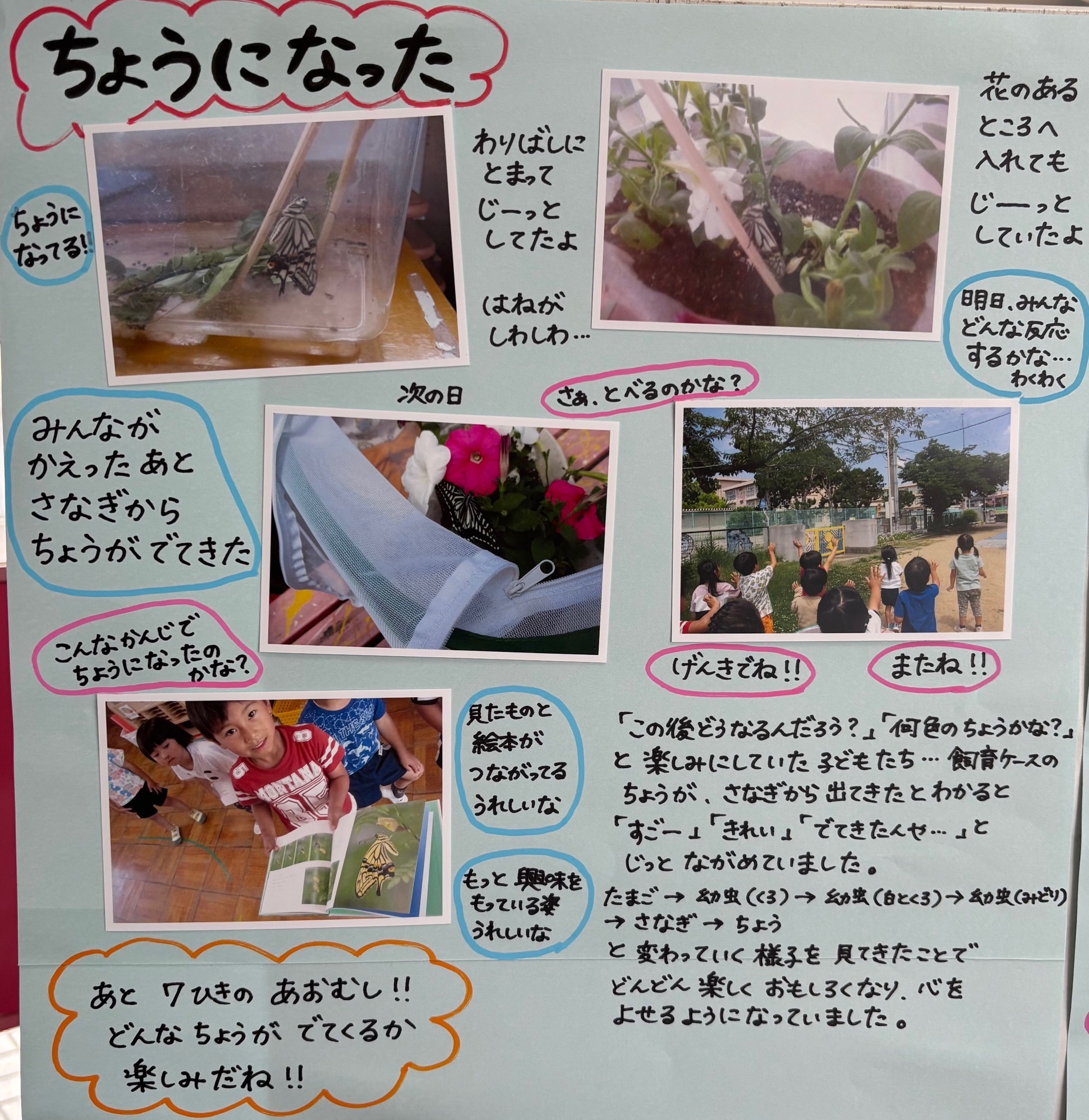 ドキュメンテーション