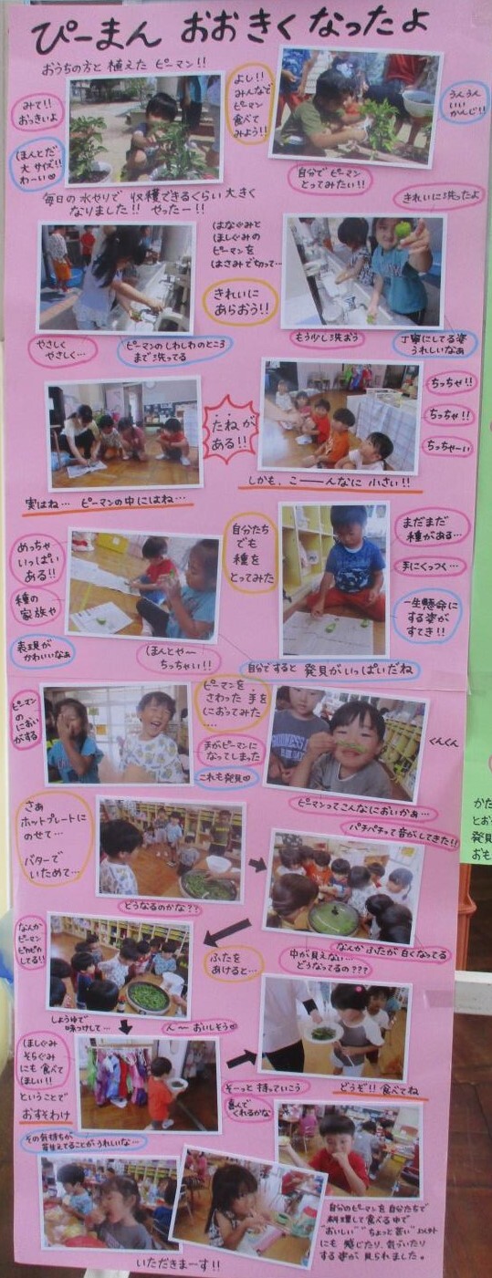 ドキュメンテーション