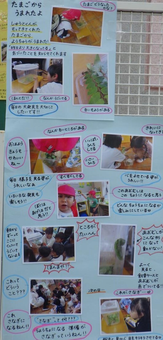 ドキュメンテーション