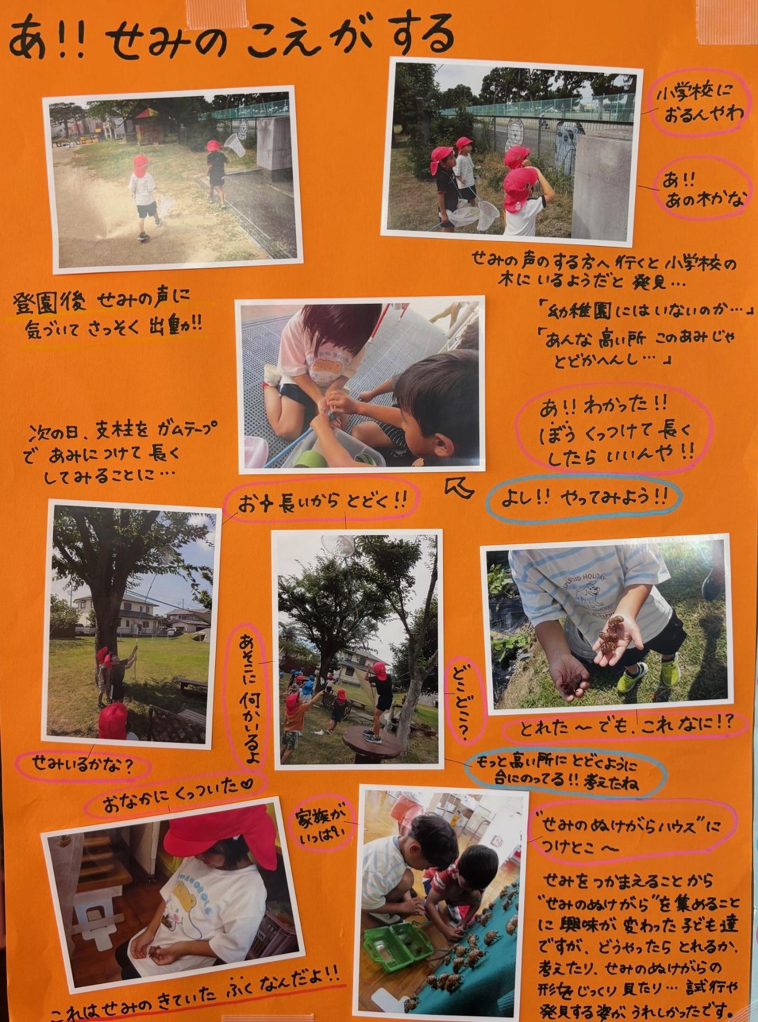 ドキュメンテーション