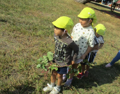 芋のつるで電車ごっこをする年少児
