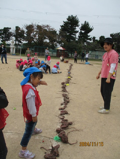 芋の数を数える園児
