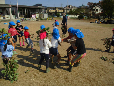 芋ヅルで遊ぶ園児