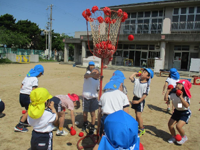 玉入れをする園児