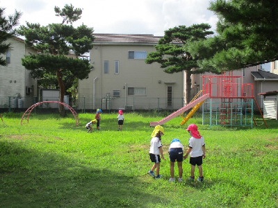 園庭の草花を集める園児