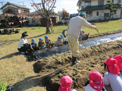 苗植えをする園児